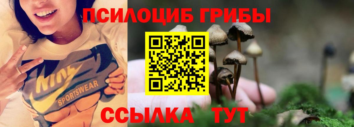 Галлюциногенные грибы GOLDEN TEACHER Магадан
